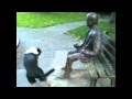 Dog determined to get statue to play fetch