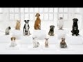 The Bark Side: 2012 Volkswagen Gameday Commercial Teaser